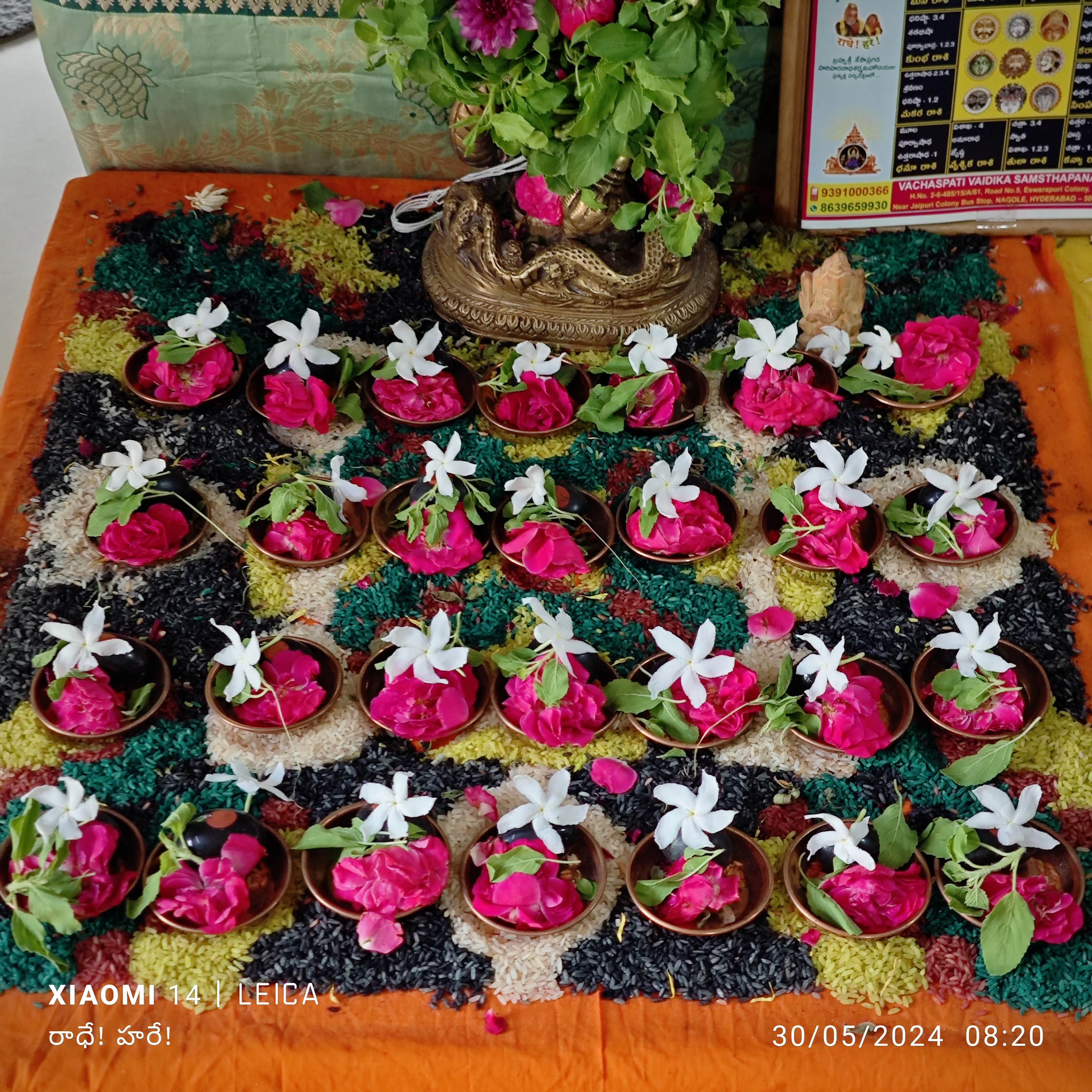 Image 14